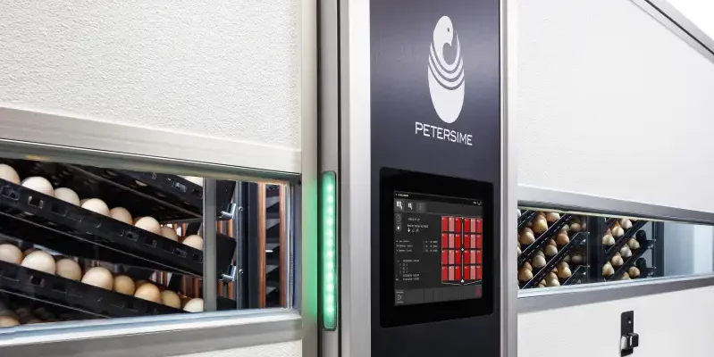A modern egg incubator from Petersime is shown, with trays of eggs inside. The machine features a digital display and control panel on the front, displaying operational data. A green indicator light is illuminated on the side of the incubator.
